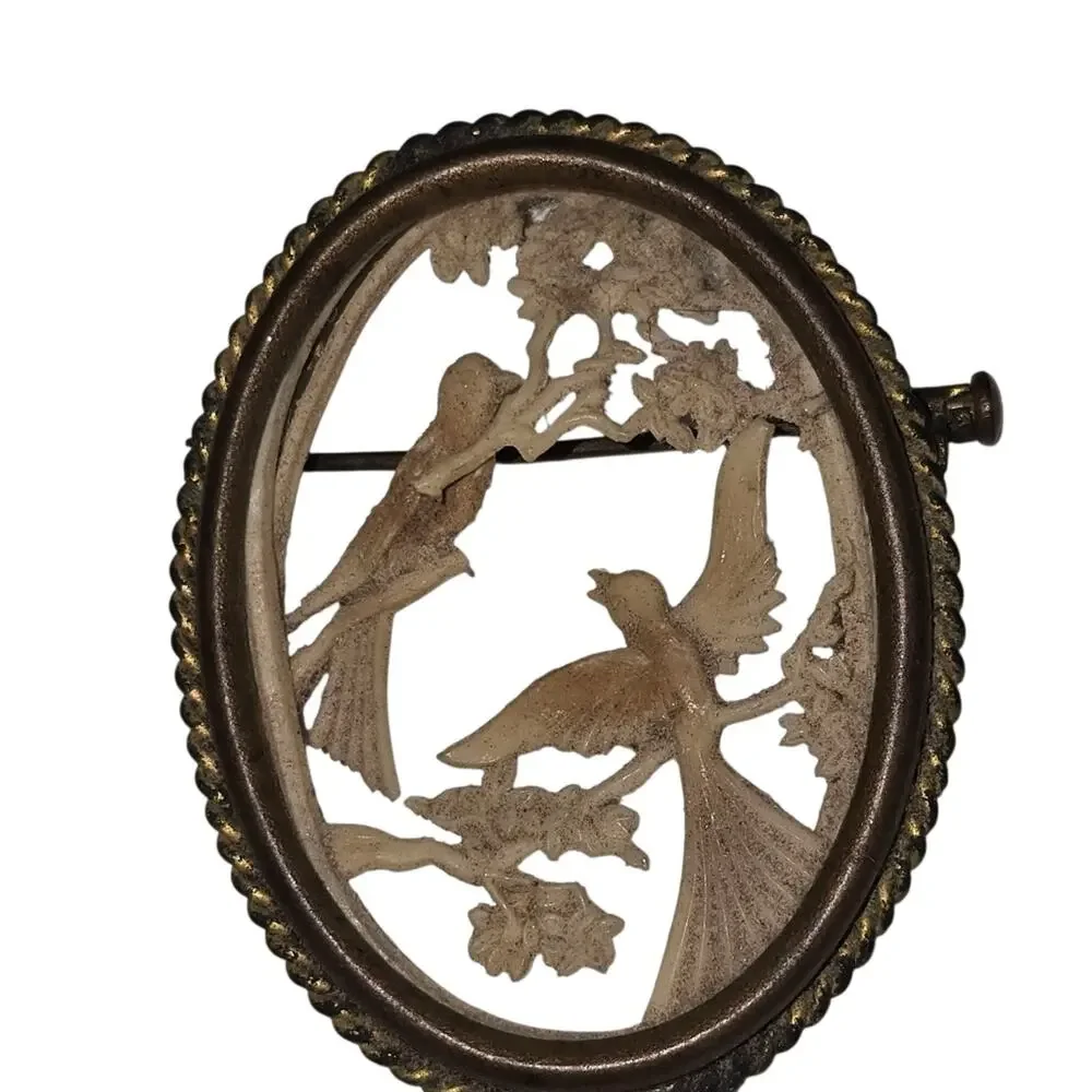 Depose France Celluloid Gold Tone Bird Oval Brooch Ornate Carved Antique Read